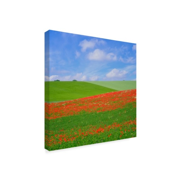 Cora Niele 'Poppy Field' Canvas Art,18x18